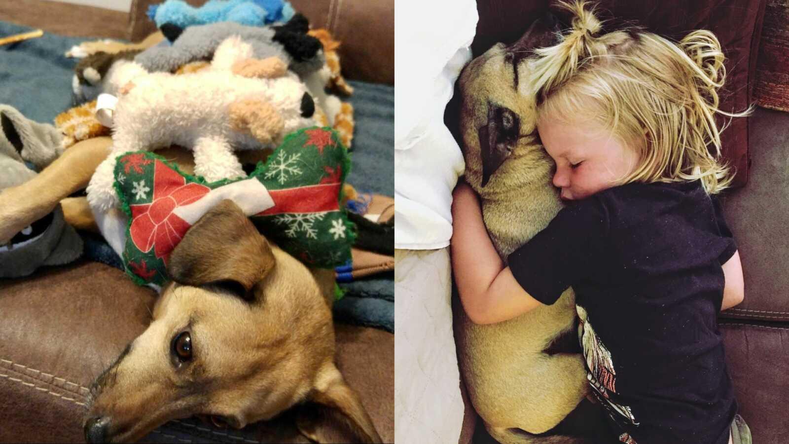 baby laying with puppy