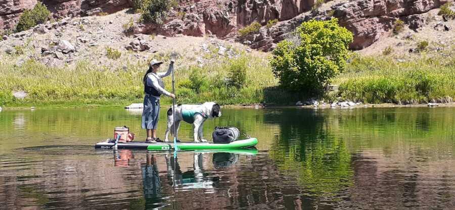 Paddle boarding on the lake with their dog, Maggie.