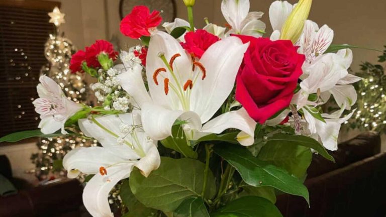 A Story About A Mourning Woman Who Is Grateful For Her Loved Ones For Not Letting Her To Forget Sadness