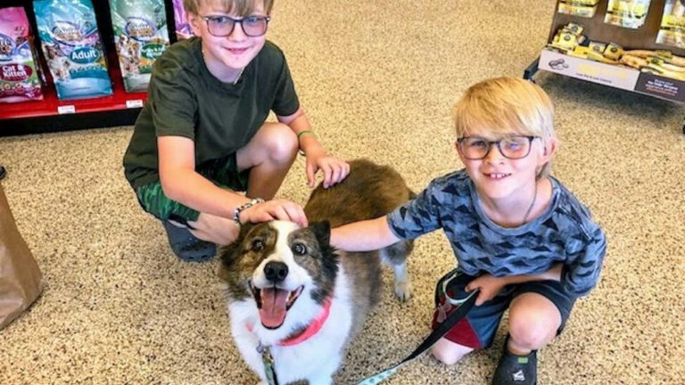 A Story About A Mom Who Changed Her Mind To Offer Foster Dog A Forever Home Because Of Her Sons’s Appeal